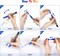 Paint Markers Pens, 12 Colors Oil-Based Waterproof Fancy Paint Markers, Quick Dry Permanent Push Markers Set for Tire, Rock, Wood, Plastic, Canvas, Glass, DIY Craft